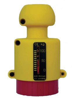 Caravan Nose Weight Gauge