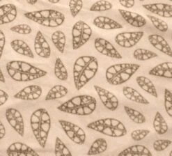 Robens Wolf Moon 5XP Tent Package -Outdoor Awnings Shop robens carpet 1